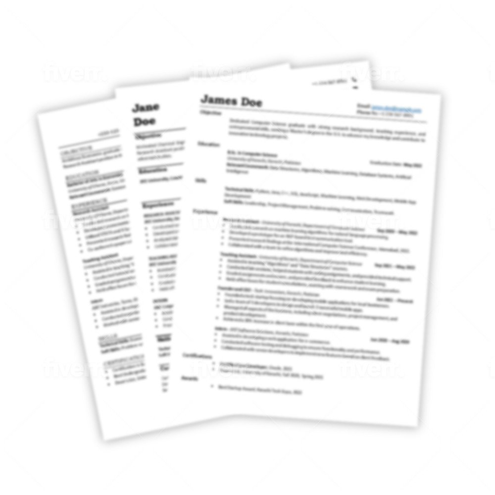 Professional Resume Templates for International Students product image (1)