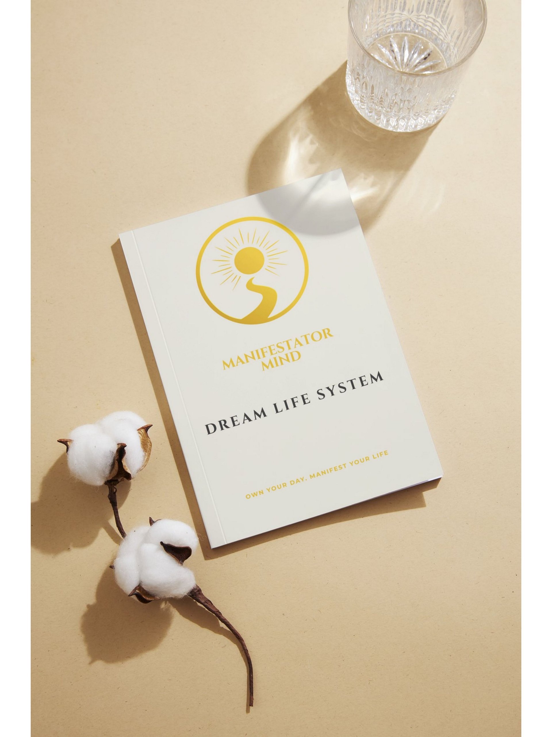 MANIFESTATOR Dream Life System product image (8)