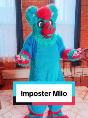 What is he doing in my house? #furry #furryfandom #littlealphapup #skit #inspirational @Cody 🔜 MFF 