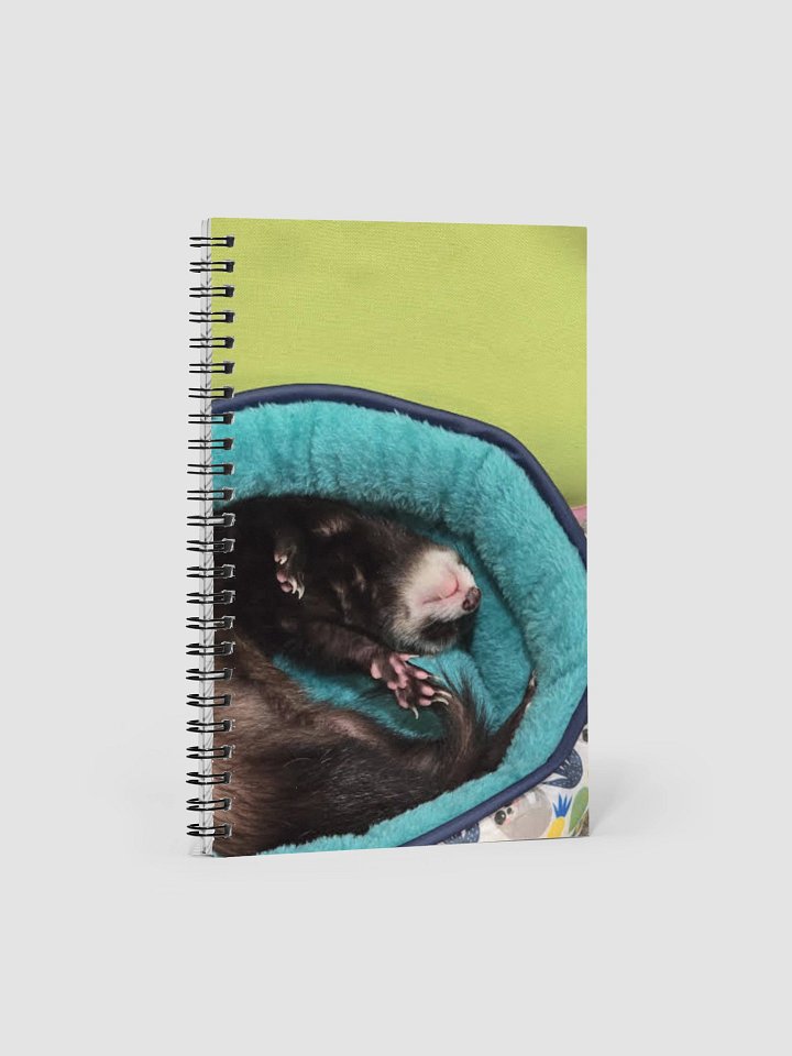 Lucy Notebook product image (1)