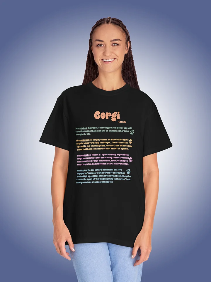 Definition of a Corgi product image (1)