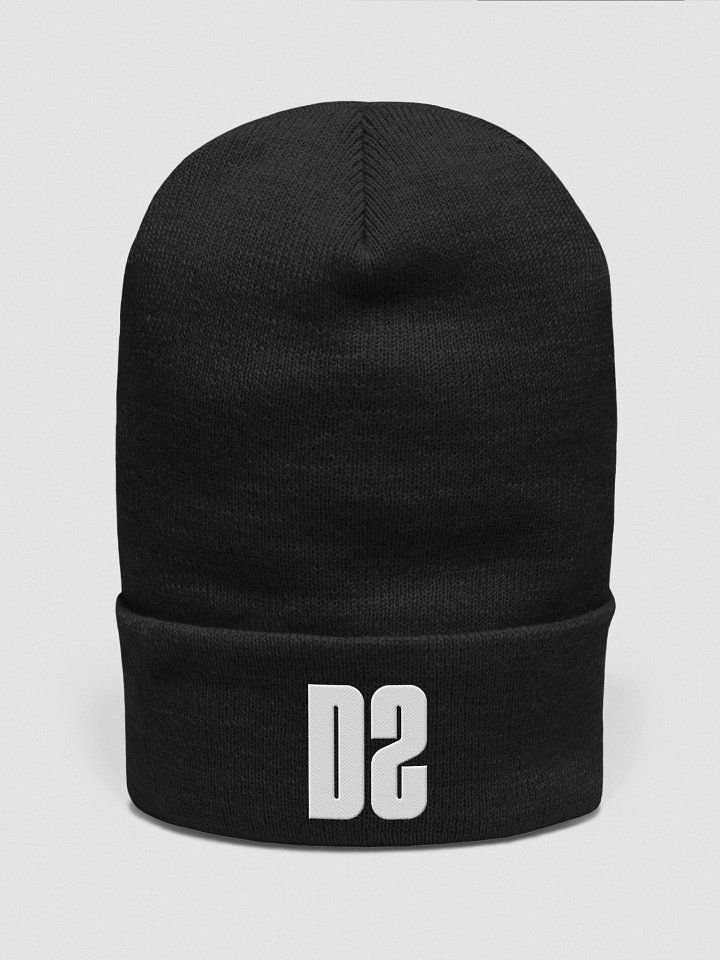 Divergent Souls Logo Beanie product image (1)