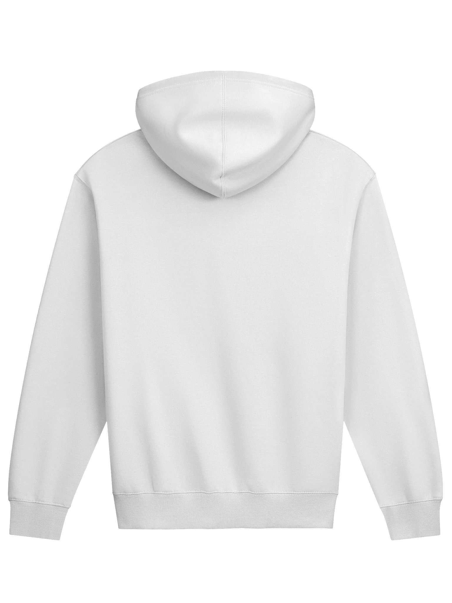 Saint Louie Atelier, Printed Arched Logo Hoodie product image (18)