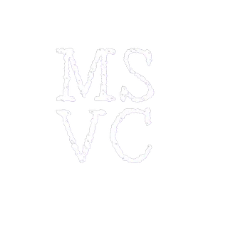 MSVlogCreation