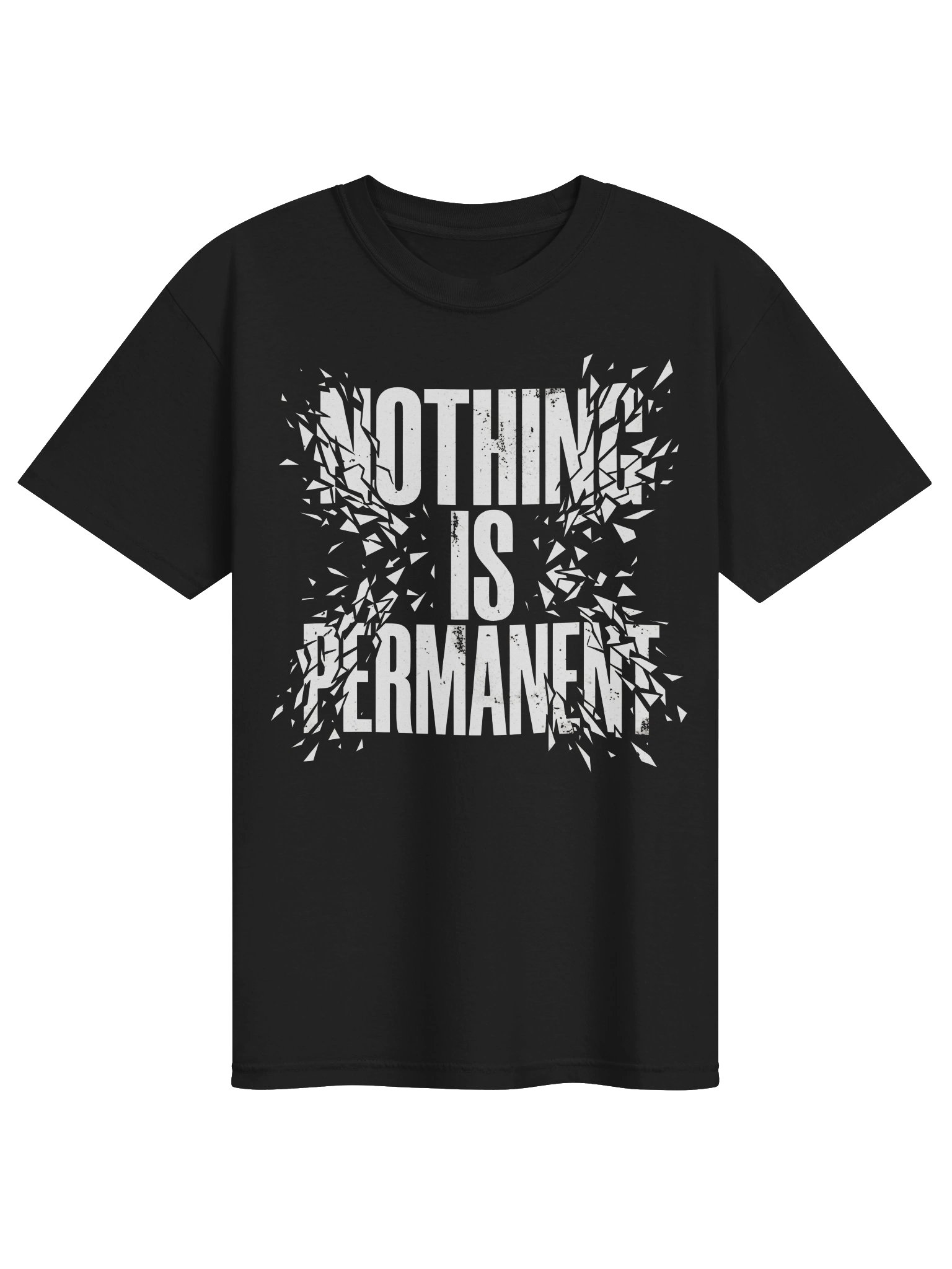 Nothing Is Permanent Graphic Tee product image (1)