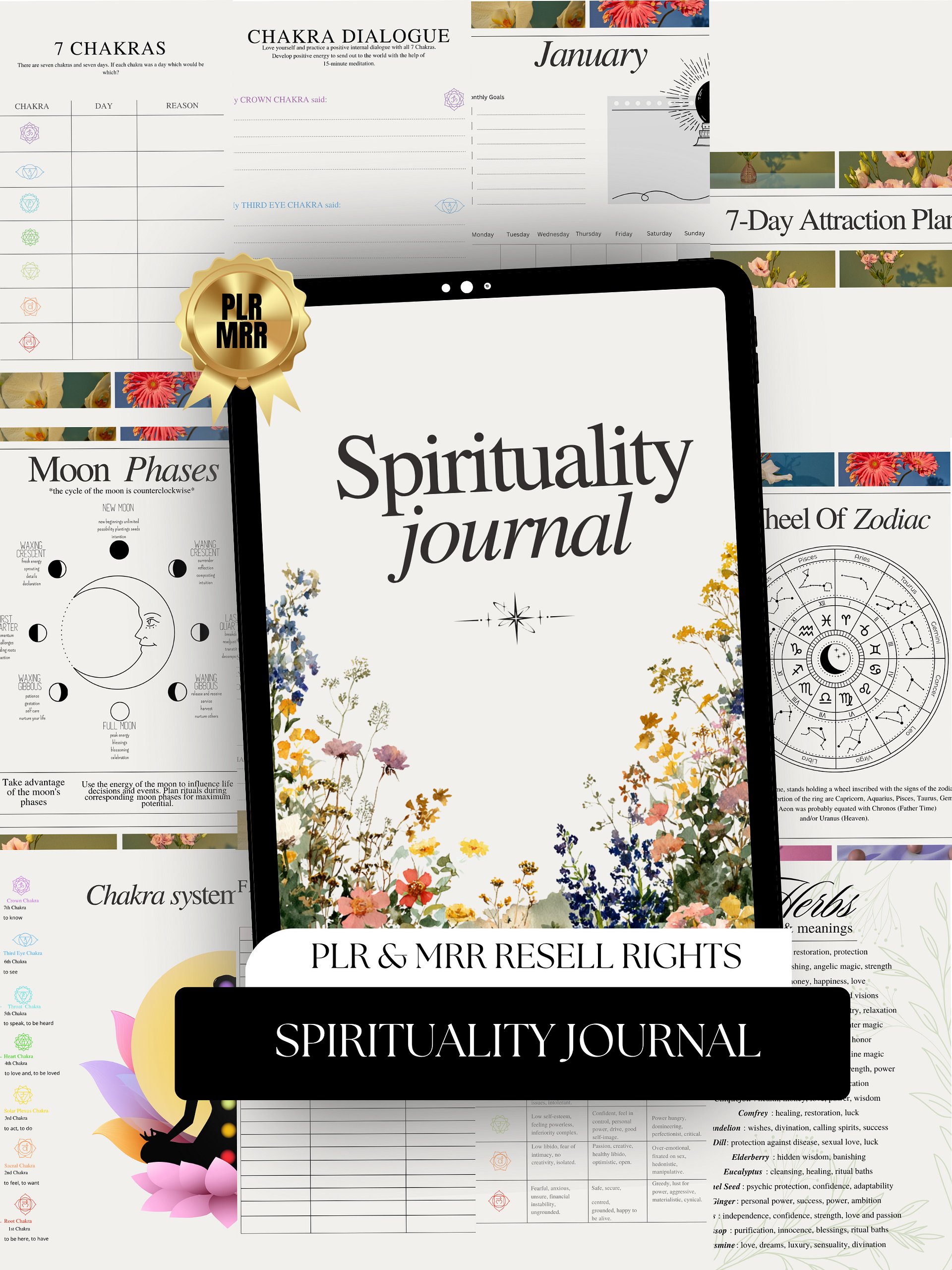 Spirituality Journal | PLR/MRR Ebook product image (1)