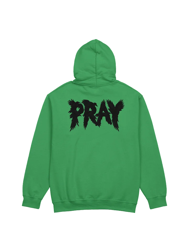 Birds Of Pray Hoodie product image (1)