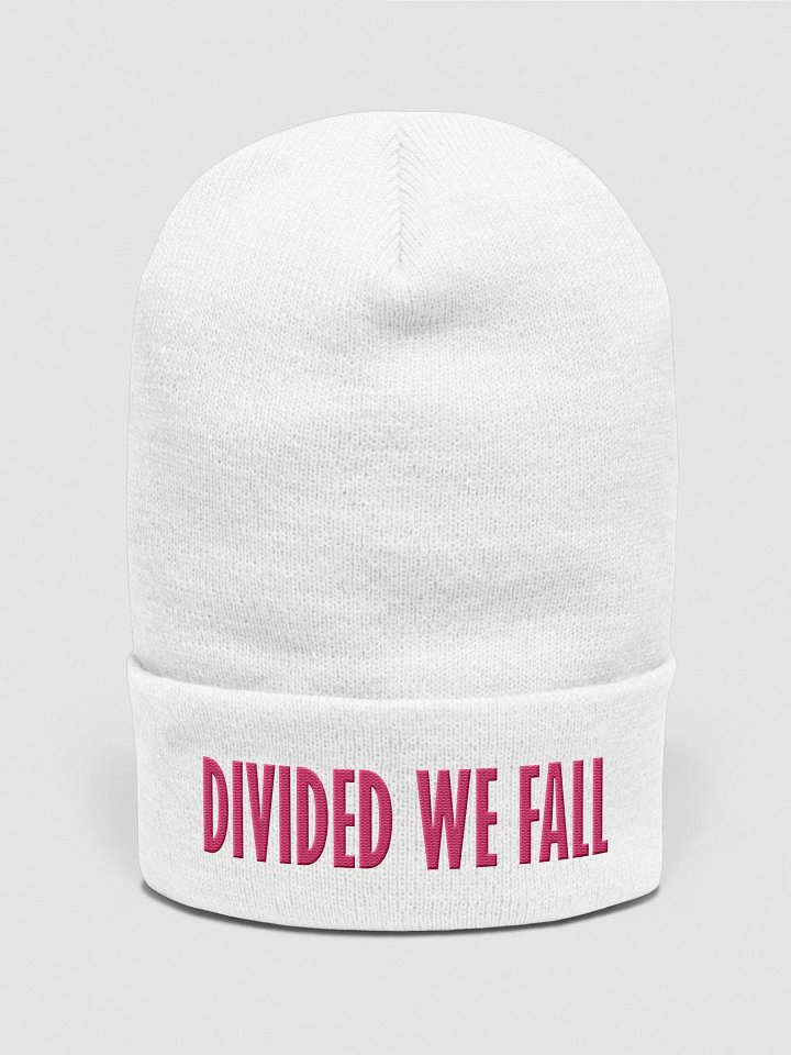 Divided We Fall - Pink - Yupoong Cuffed Beanie product image (1)
