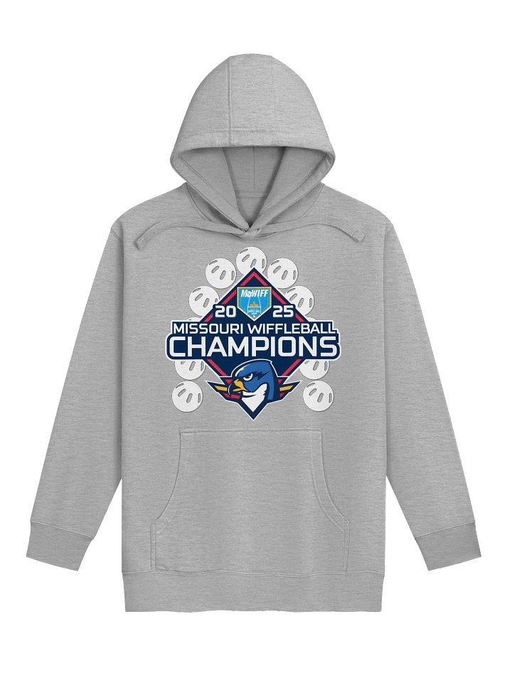 Thunderbirds Championship Hoodie product image (2)