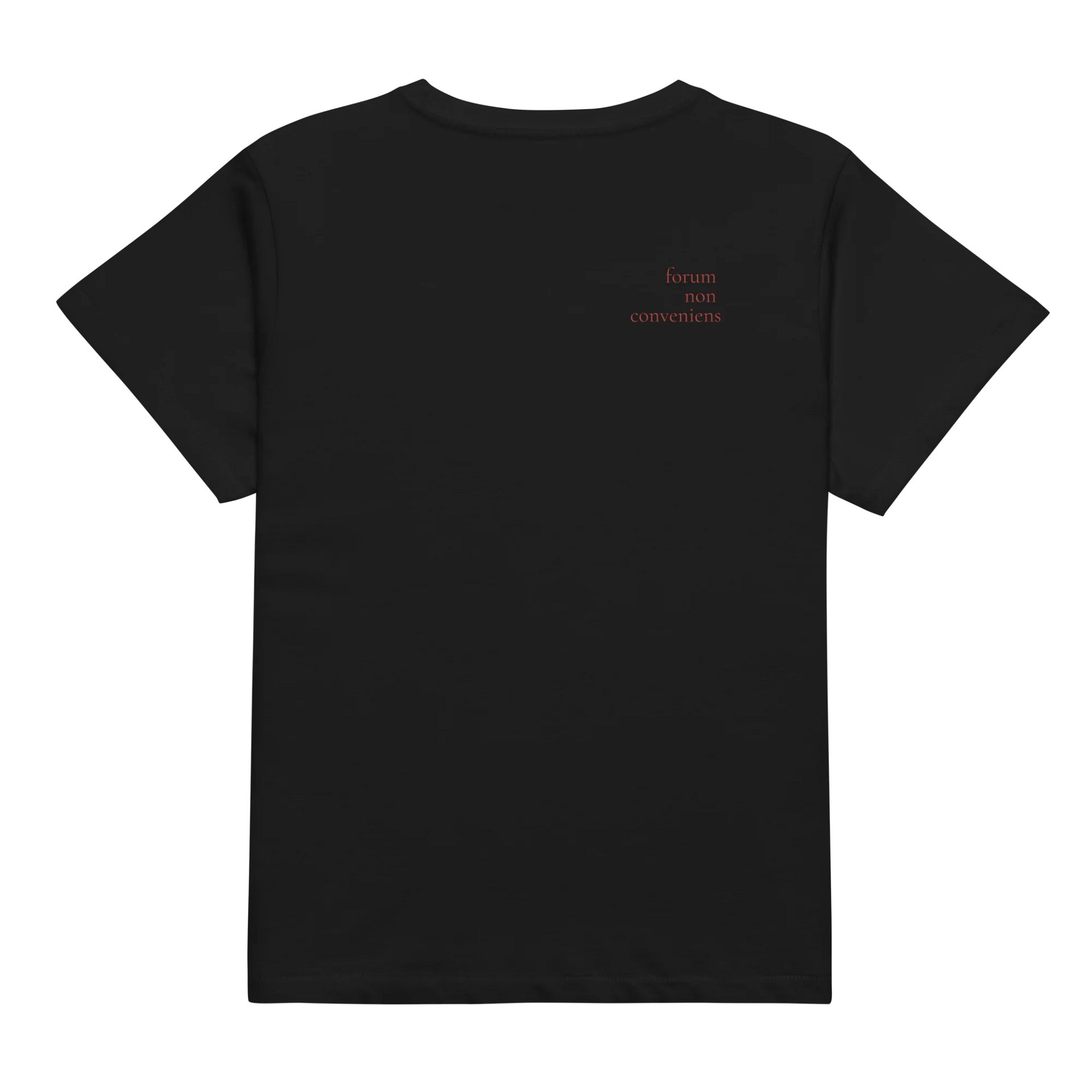 collateral estoppel baby tee product image (2)