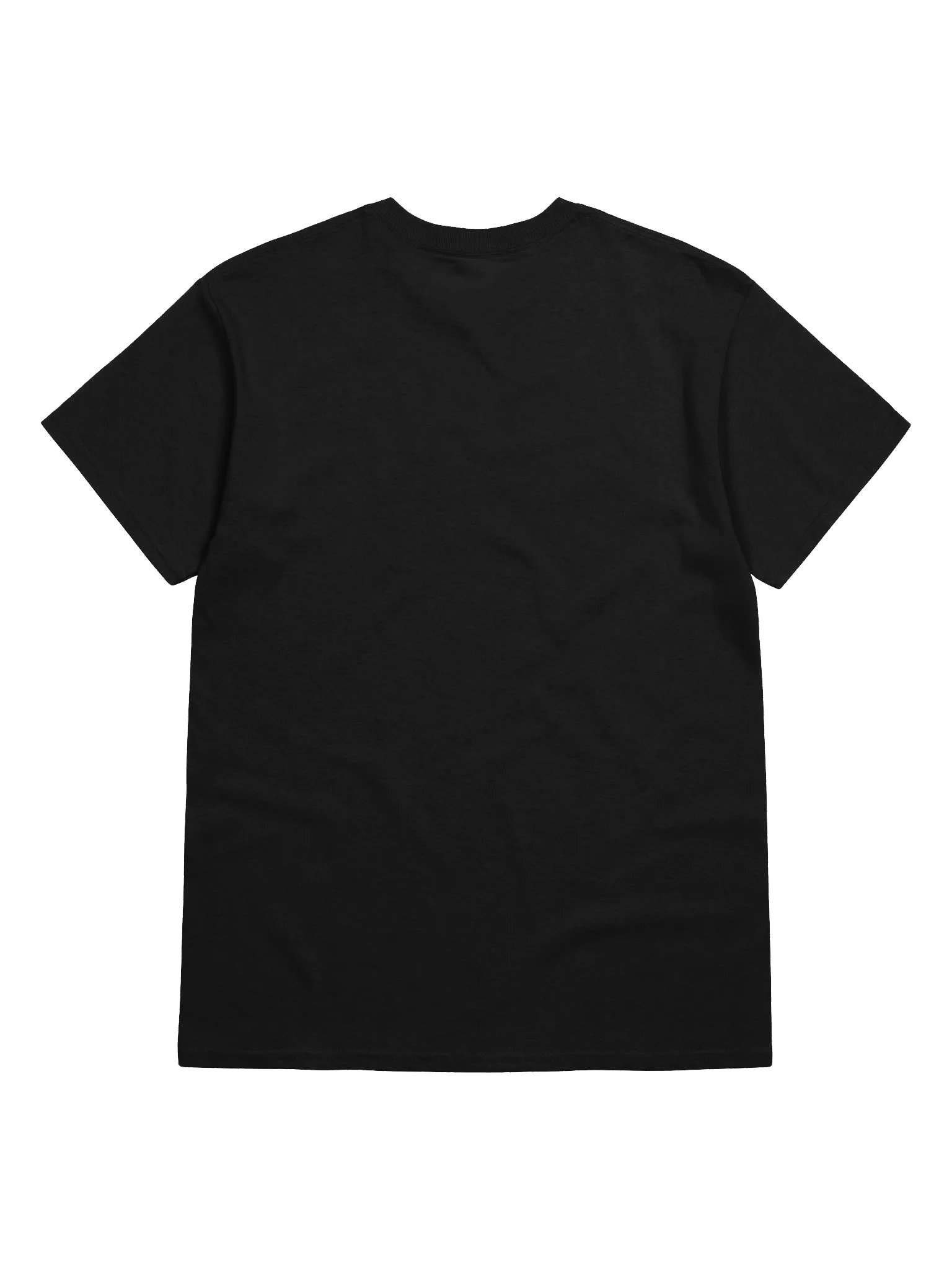 HEPH IS SICK T-SHIRT product image (4)