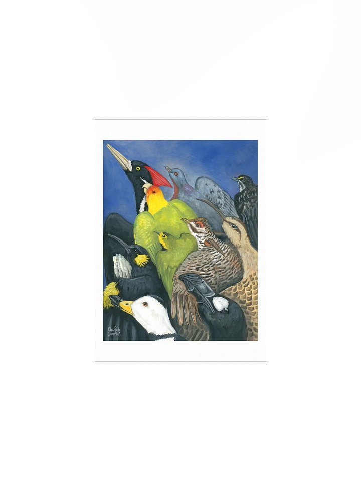 Extinct Birds of America - Art Print product image (4)