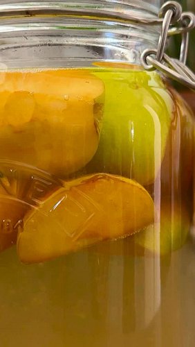 EP 22/25 — Fermentation 101: Small Signs Your Ferment isn’t Actually Working 🫙🍎

→  No activity after 3–4 days

→  Everything...