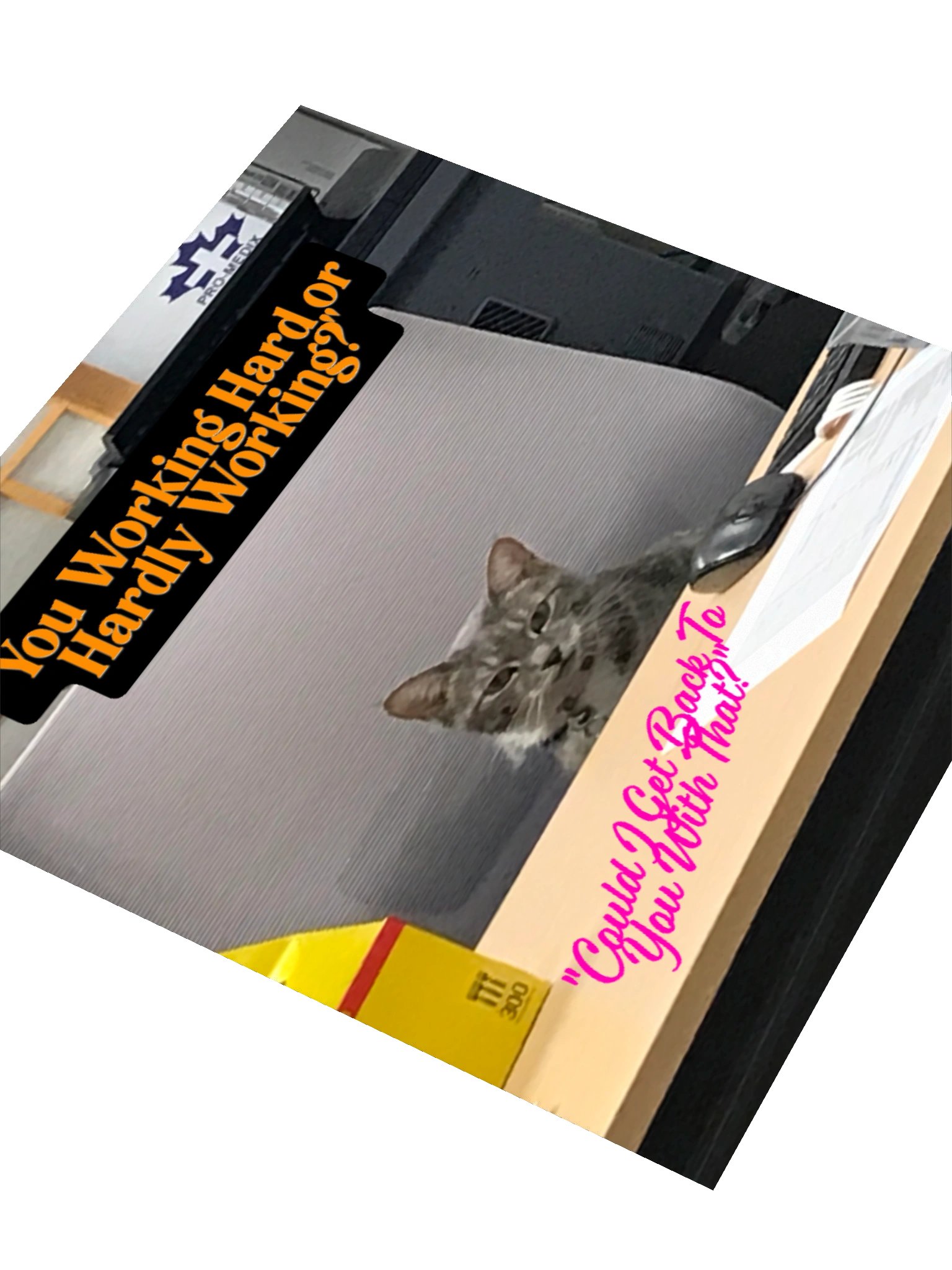 Hard Working Office Cat Stickers product image (7)