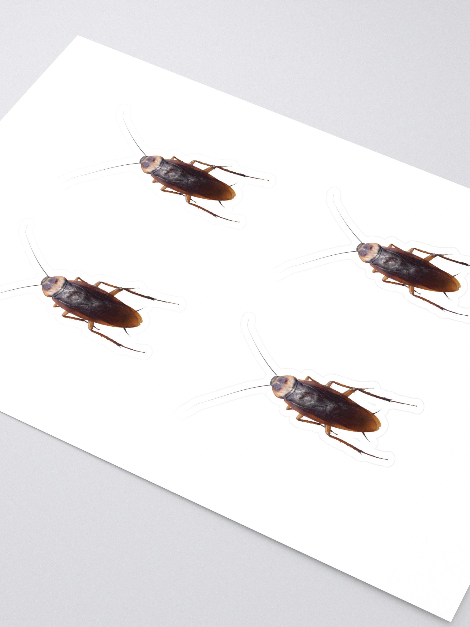 Roach Sticker product image (3)