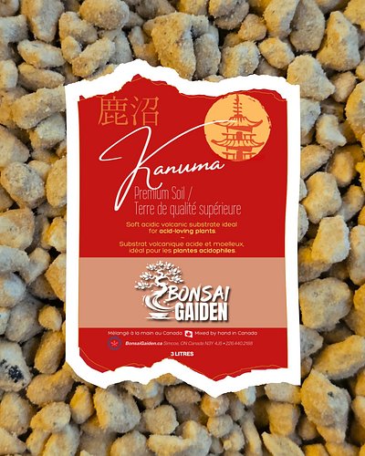 Kanuma (Premium Grade)
Soft. Acidic. Purpose-built.
The gold standard for azaleas and acid-loving bonsai—retains moisture wit...