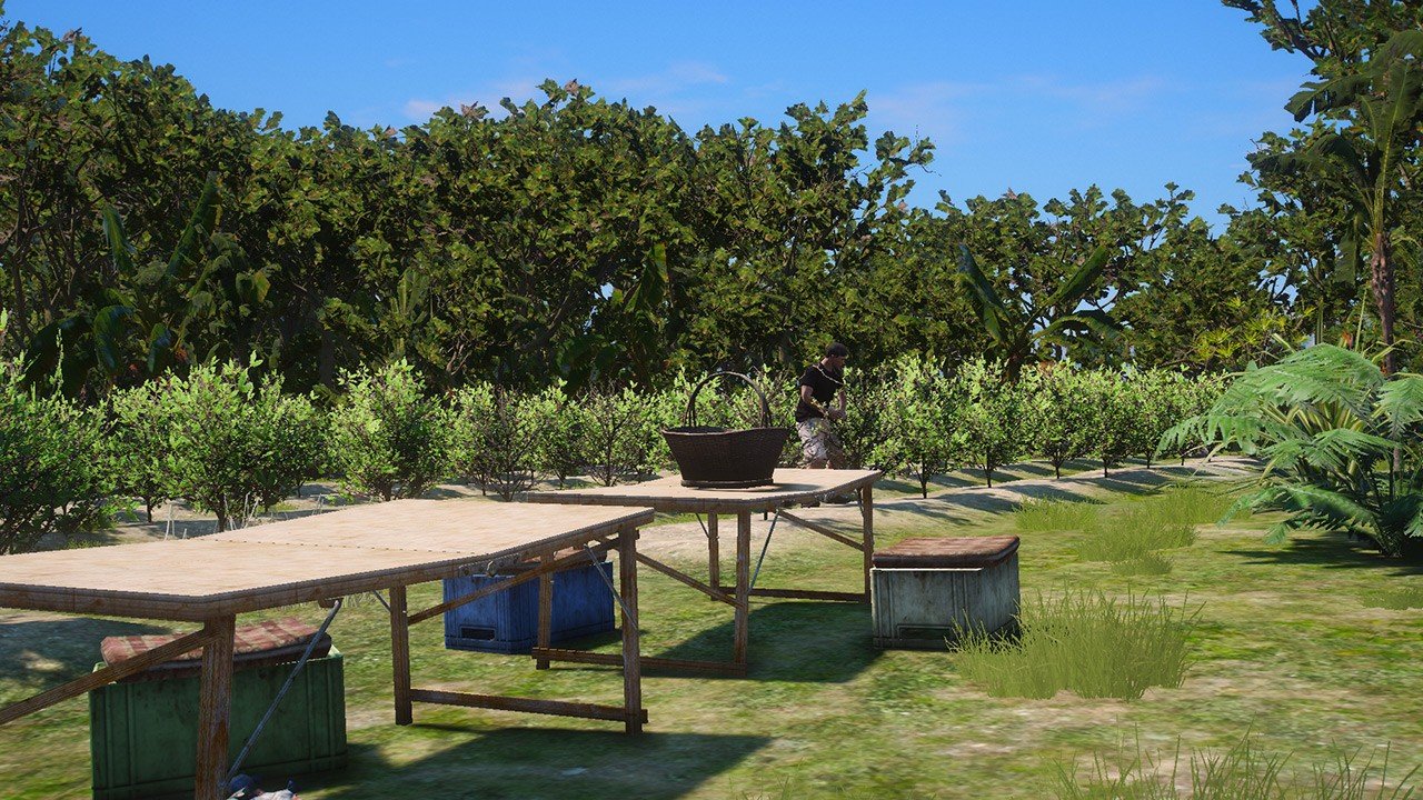 Cocaine Production [ESX, QBox, QBCore] product image (1)