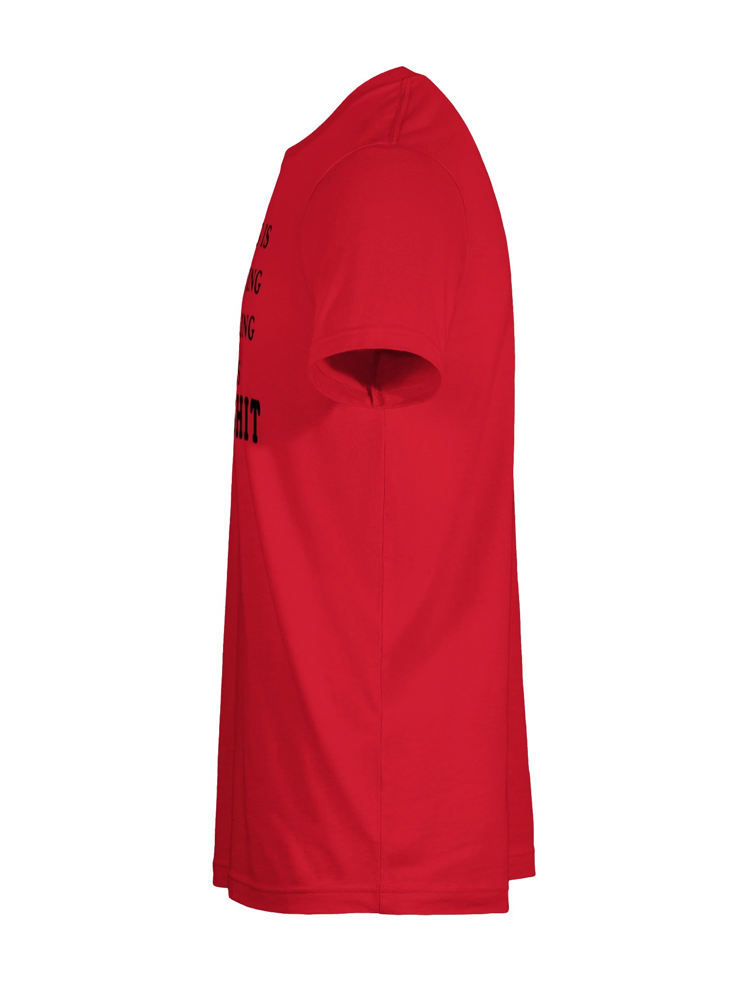 EVERYTHING ELSE IS BULLSHIT TEE product image (67)