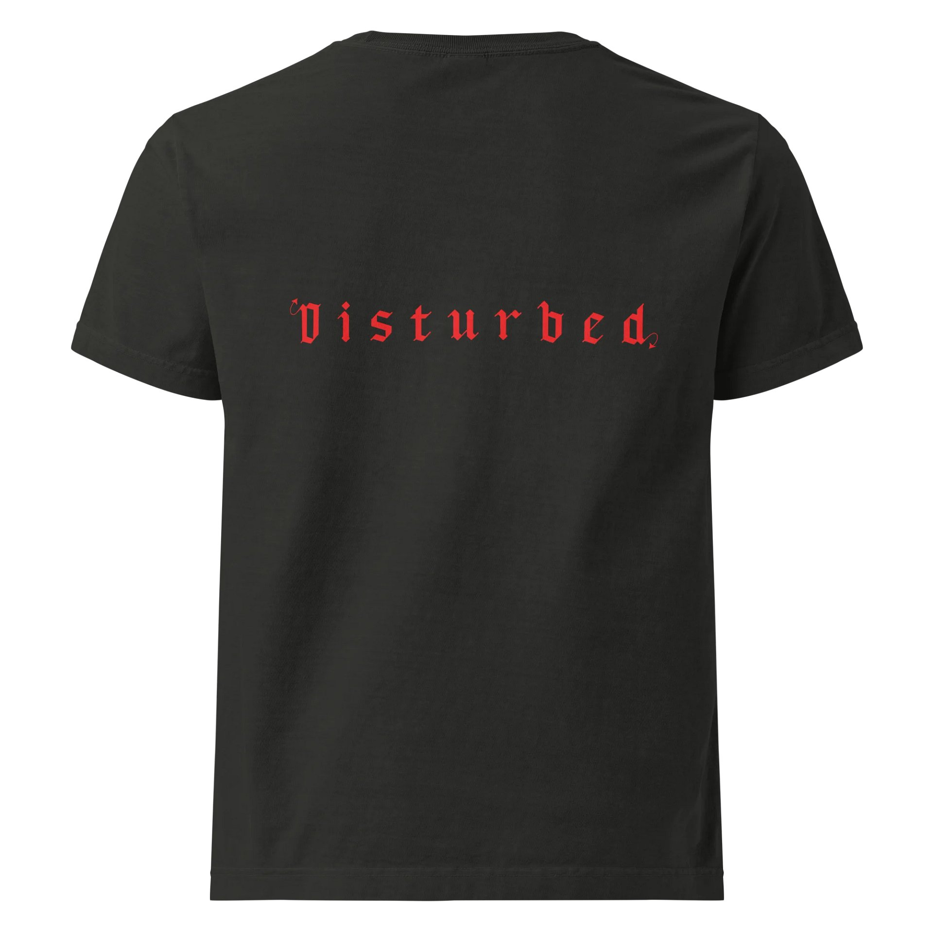 Disturbed Tee product image (2)