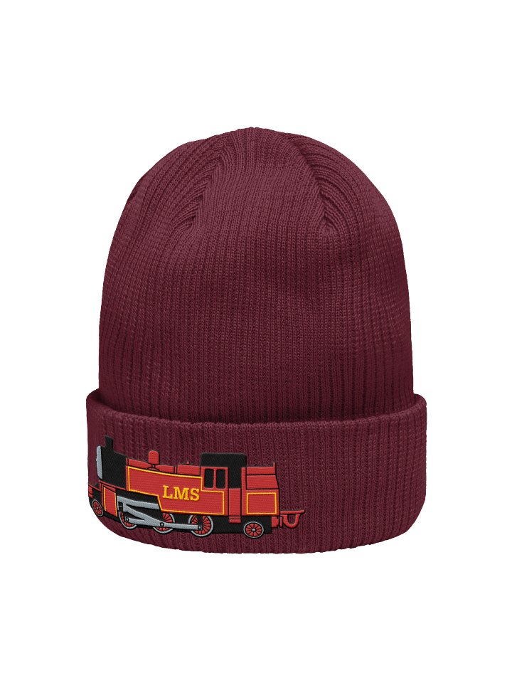 Arthur Embroidered Beanie product image (2)