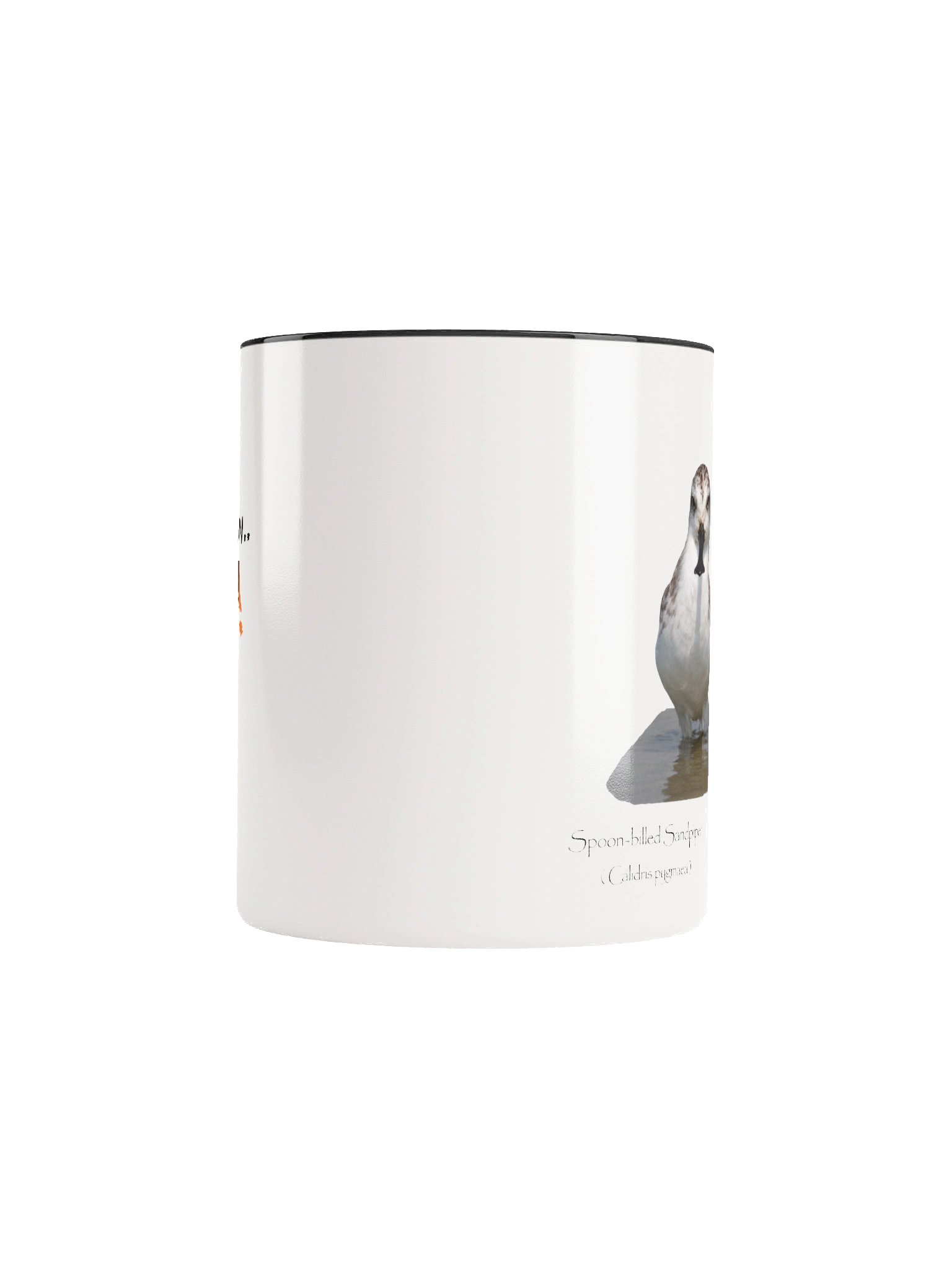 Spoon-billed Sandpiper product image (46)