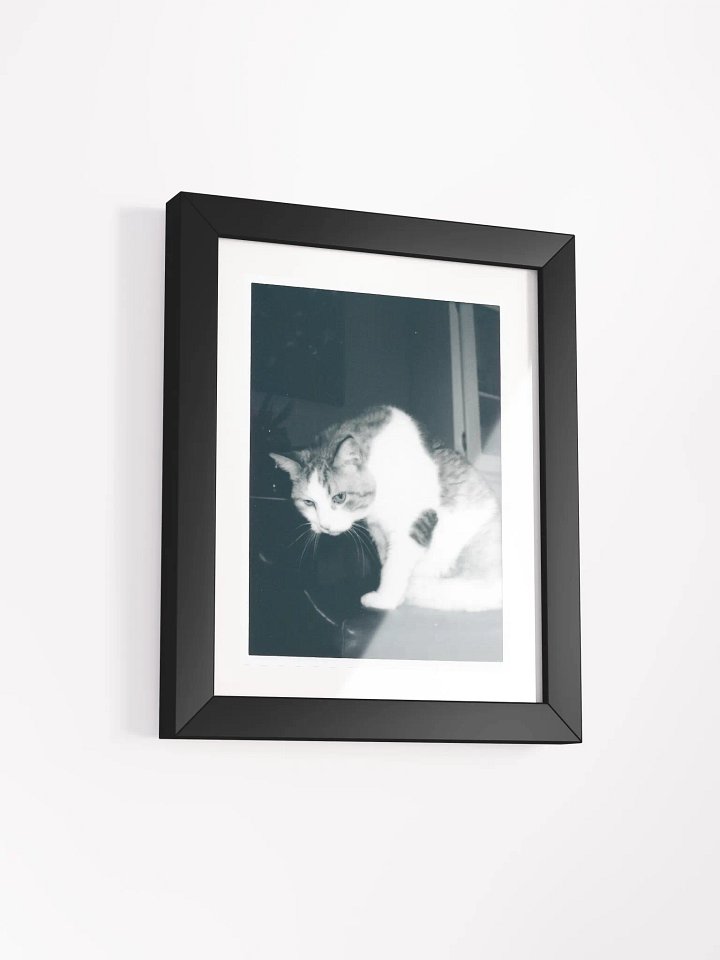 Wendell B&W product image (2)