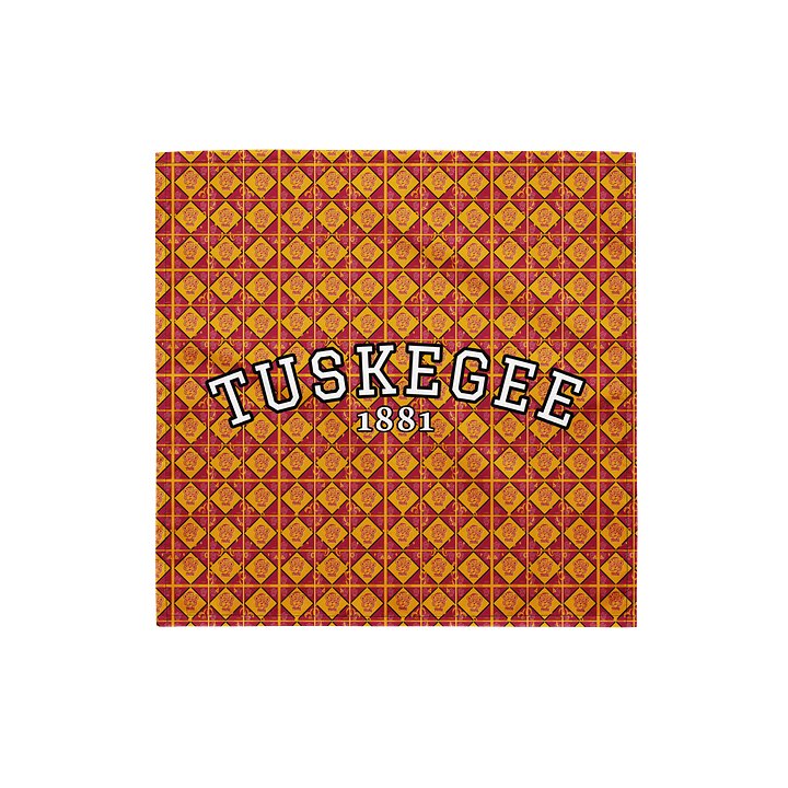 1881 Tiger Plaid Scarf product image (1)