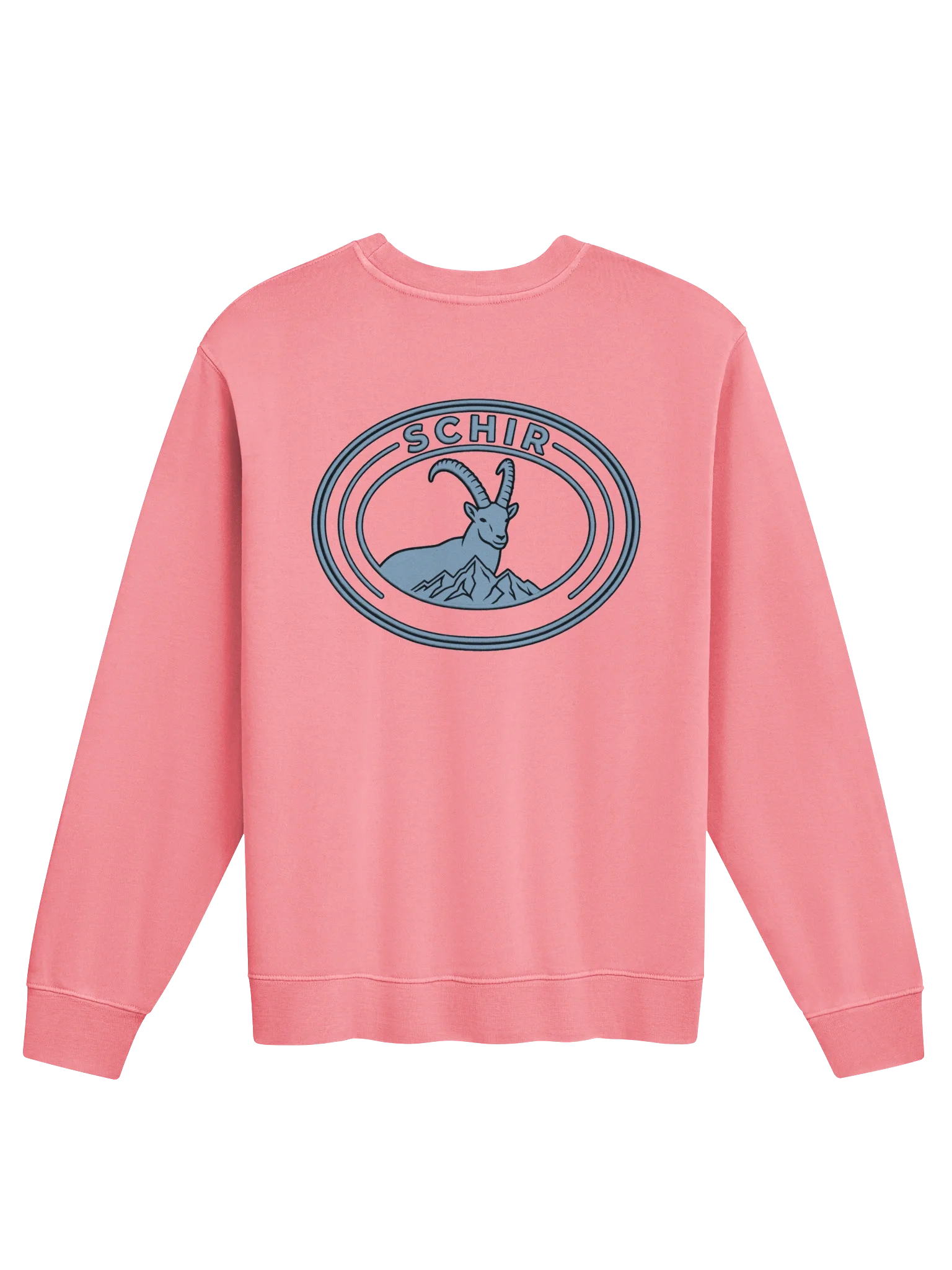 VIBES CREWNECK product photograph