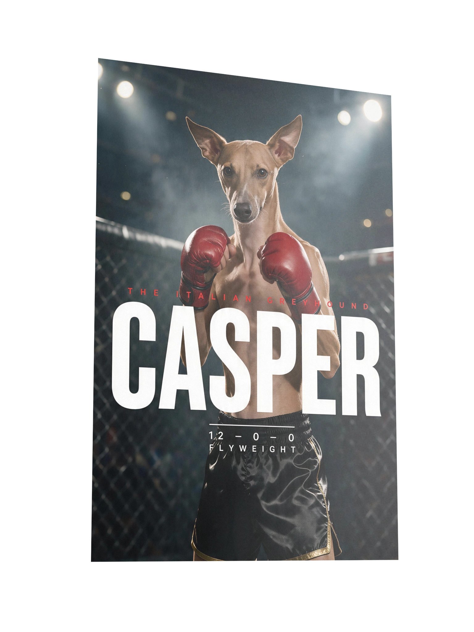 Fight Poster product image (2)