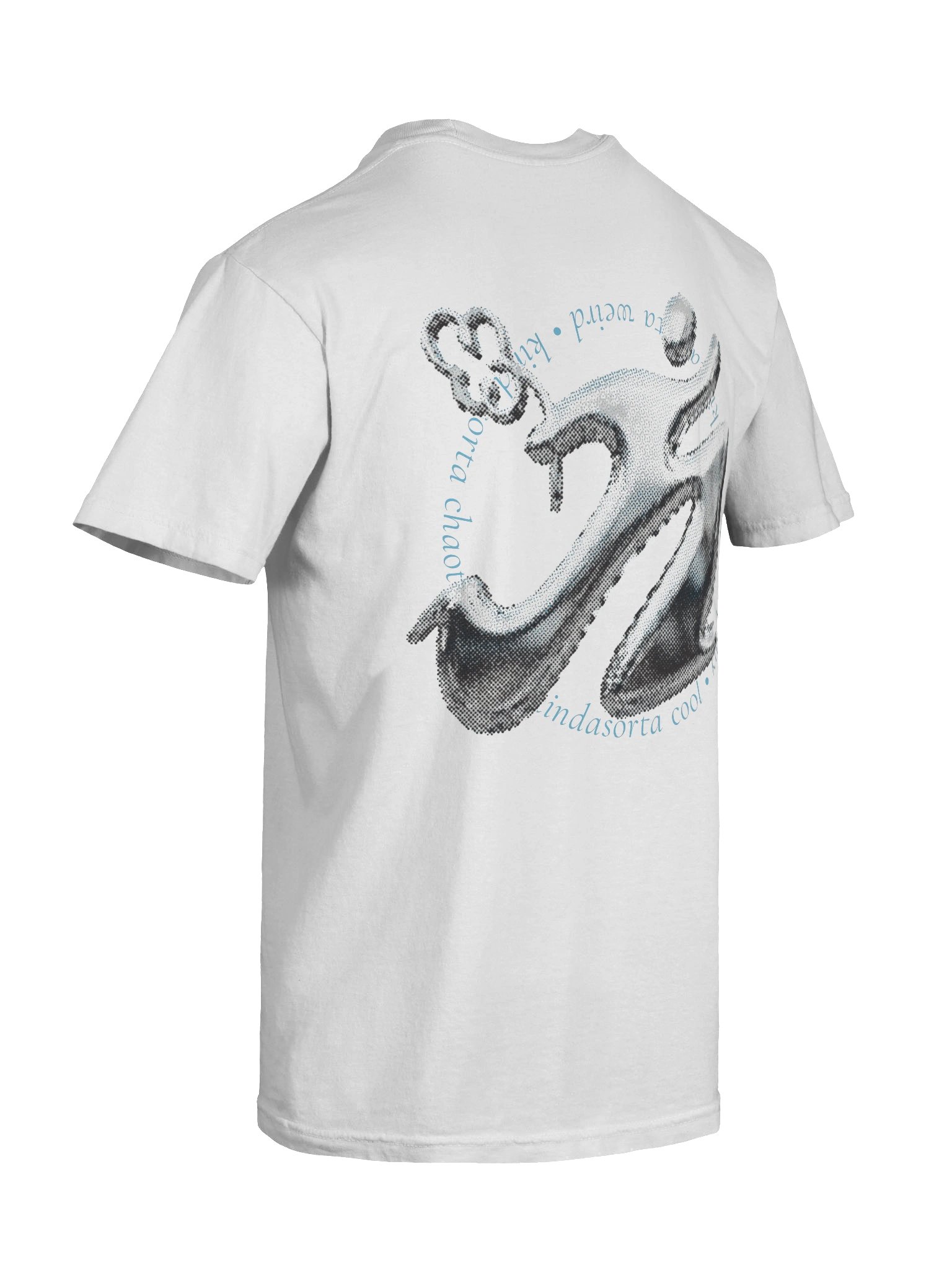 kindasorta chrome tee product image (10)