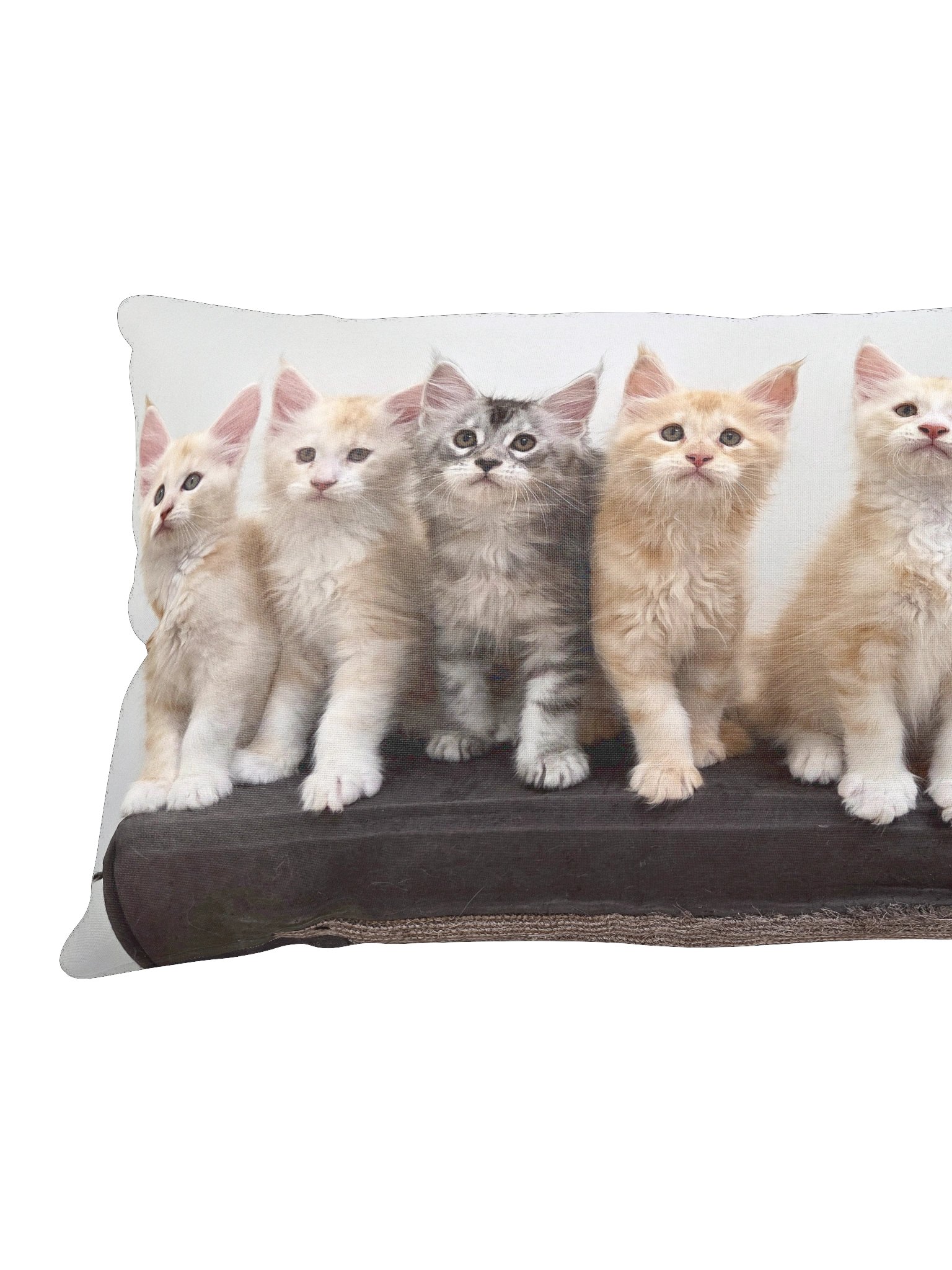 Freya's Kittens - Pillow product image (4)