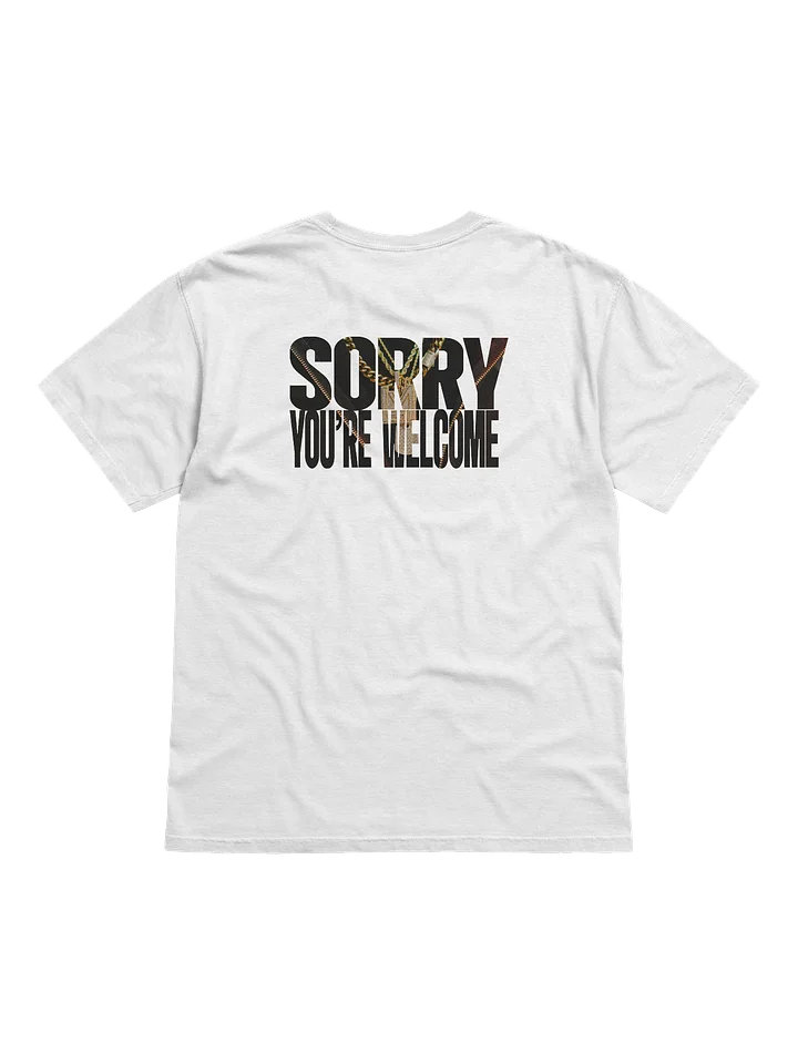 Sorry, You're Welcome (Second Look) product image (2)