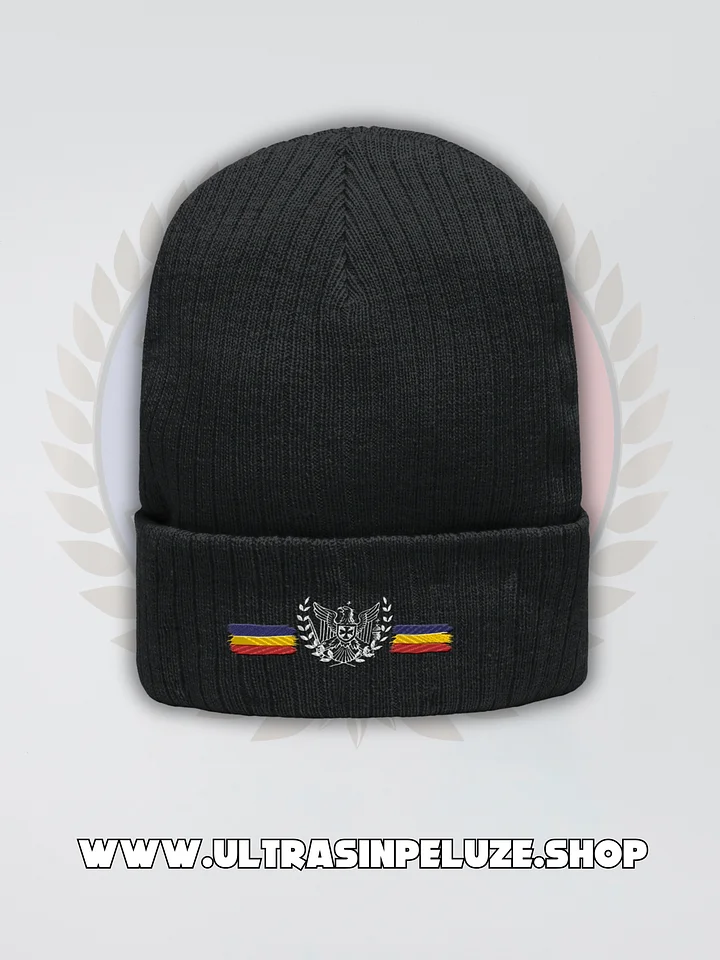 Beanie / Caciula Tricolor product image (1)