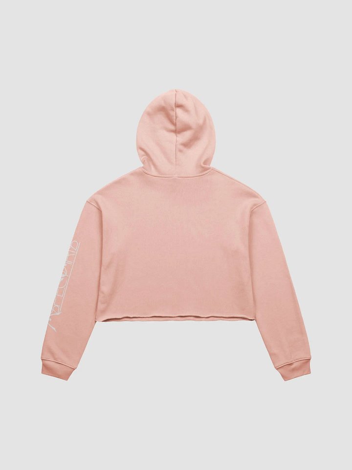 ASPECT IRIS PINK CROPPED HOODIE product image (2)
