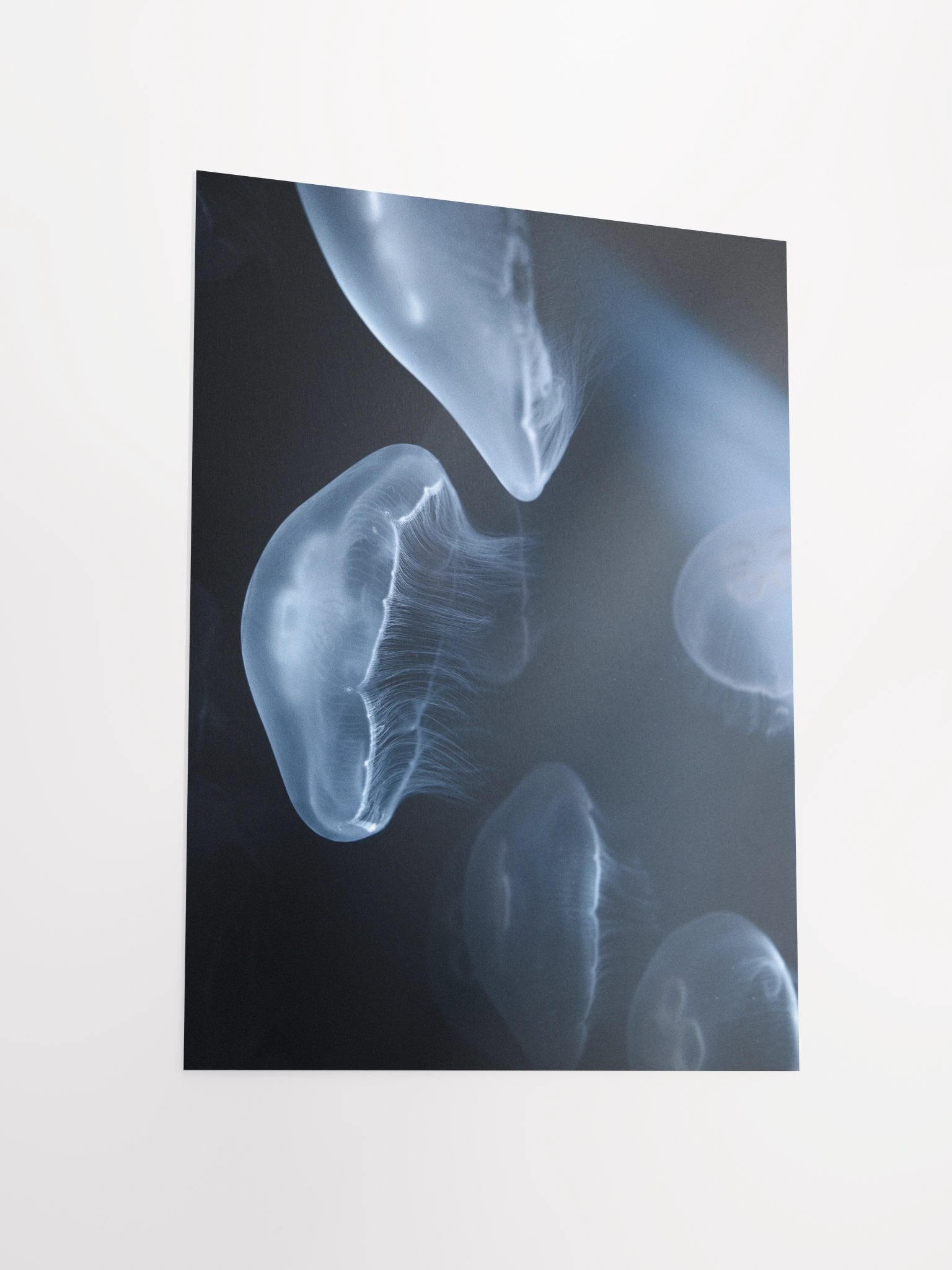 SILENT GLOW - Limited Edition Fine Art Print product image (3)