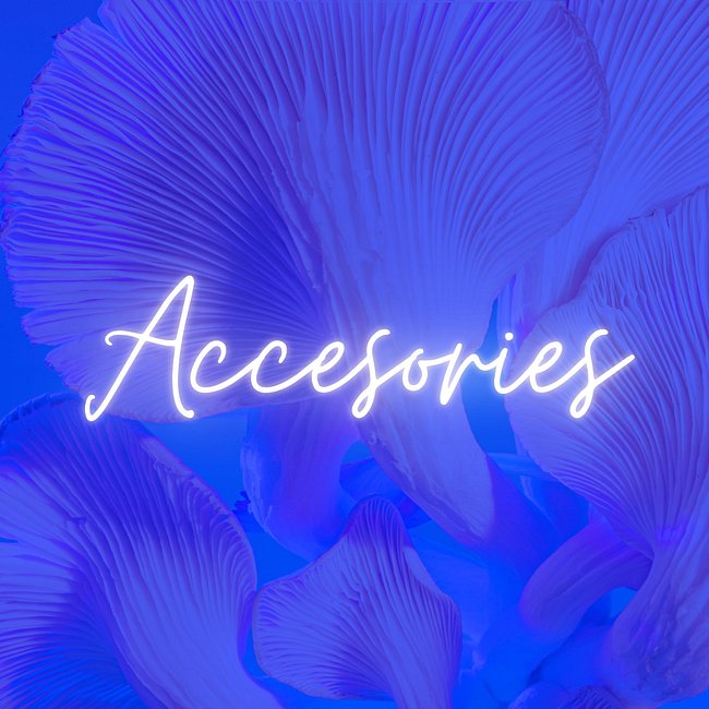 Hair Accessories