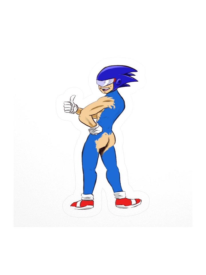 Sonic Hams Sticker product image (1)
