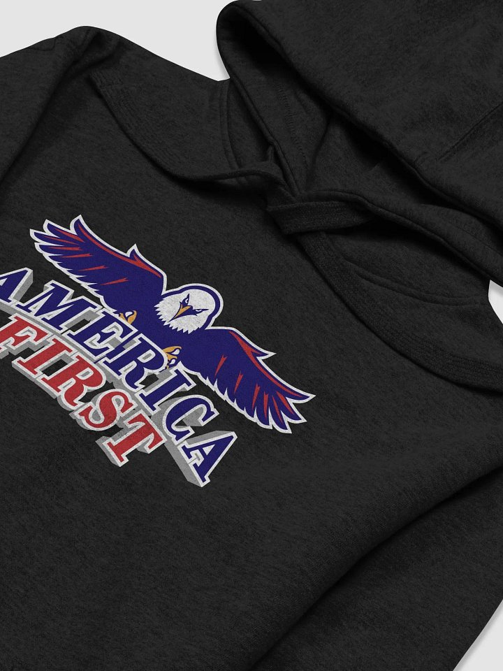 America First - Premium Hoodie product image (2)