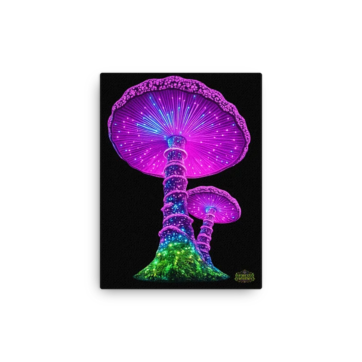 Expansion Frequency Canvas Print product image (13)