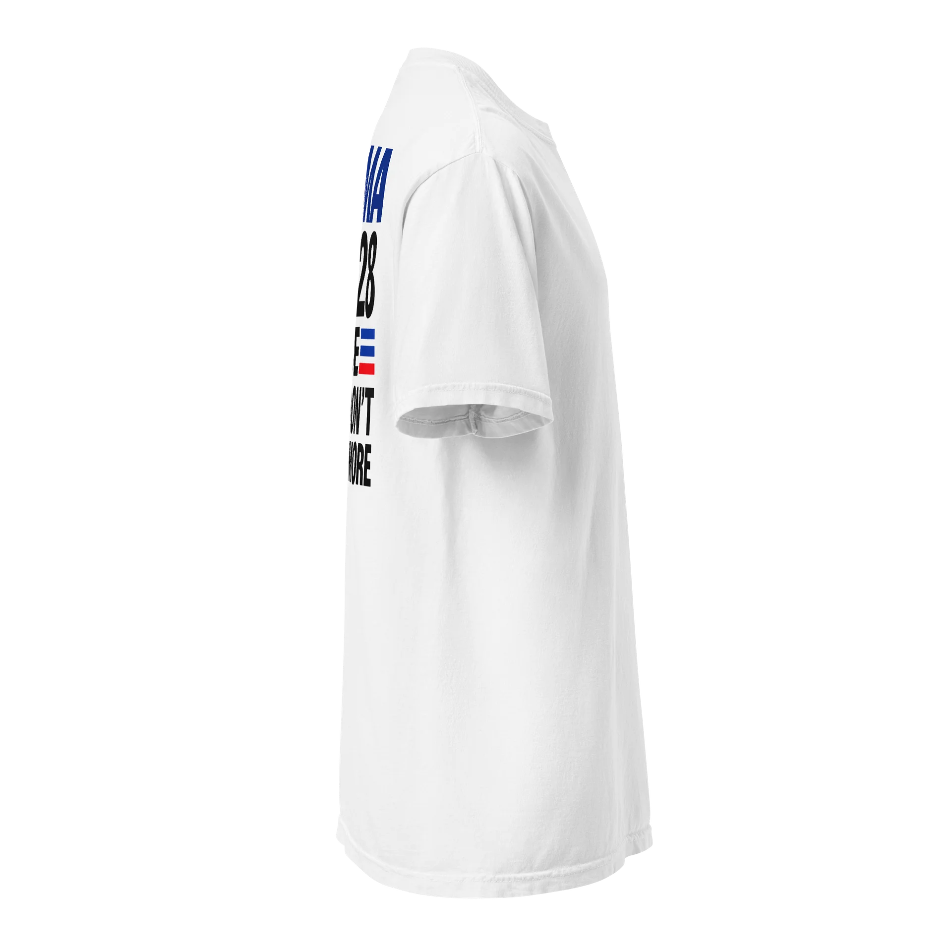 Obama 2028 — Since Rules Don’t Exist Anymore product image (4)