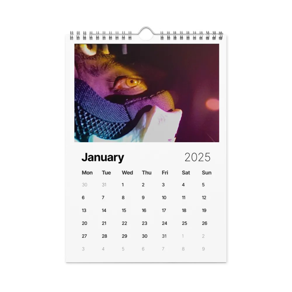 2025 Sloth Calendar product image (6)