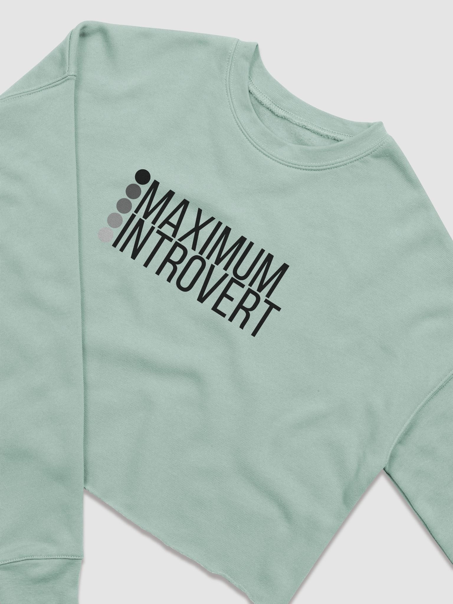 Maximum Introvert Long Sleeve Crop product image (1)