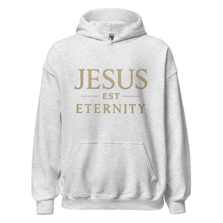Jesus est Eternity Hoodie product image (4)