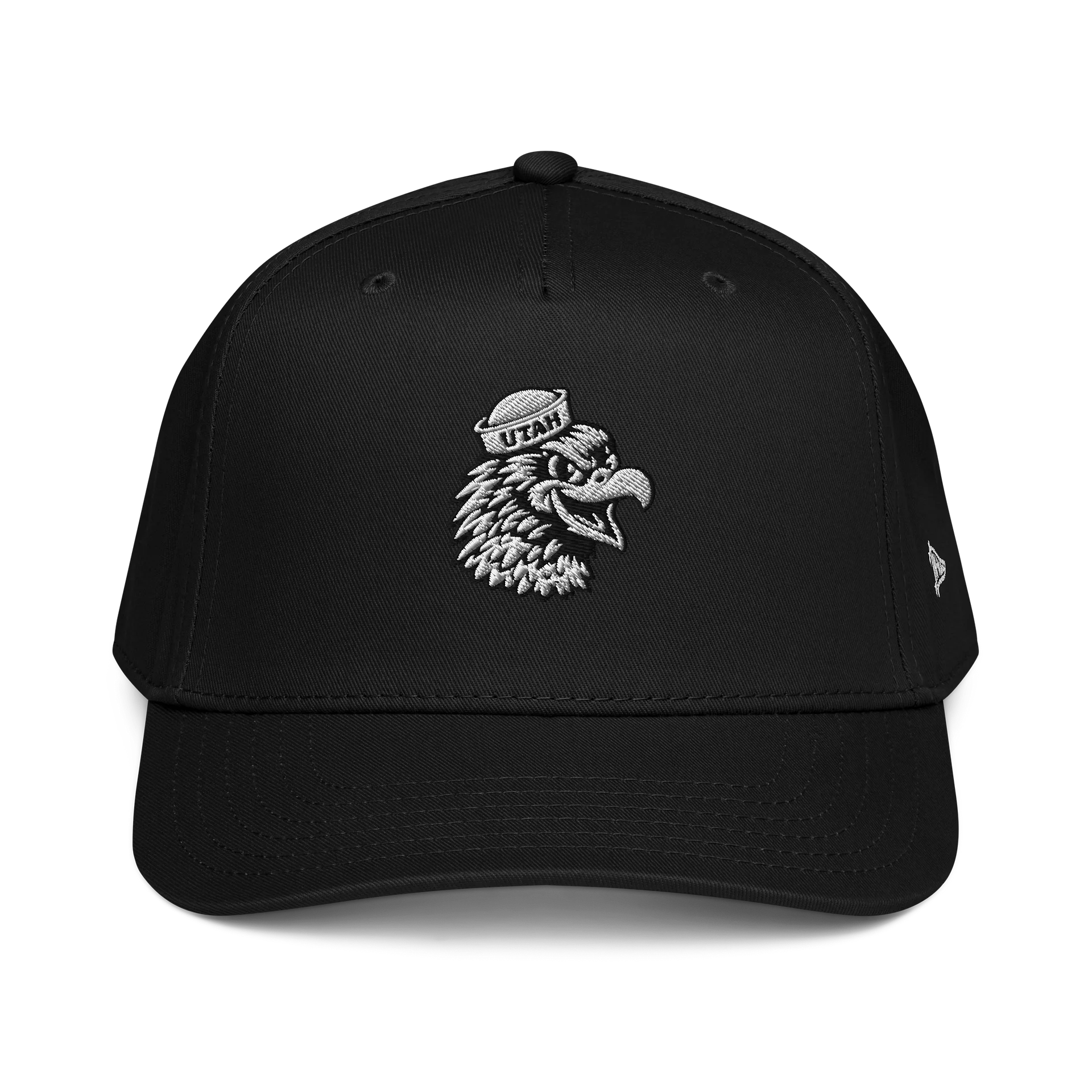 Collegiate Red Tailed Hawk Cap (Blackout) product image (1)
