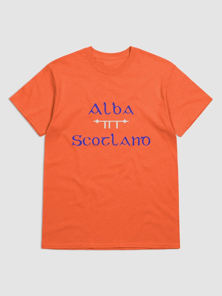 Scotland/Alba Scholastic style Ogham printed T-shirt product image (1)