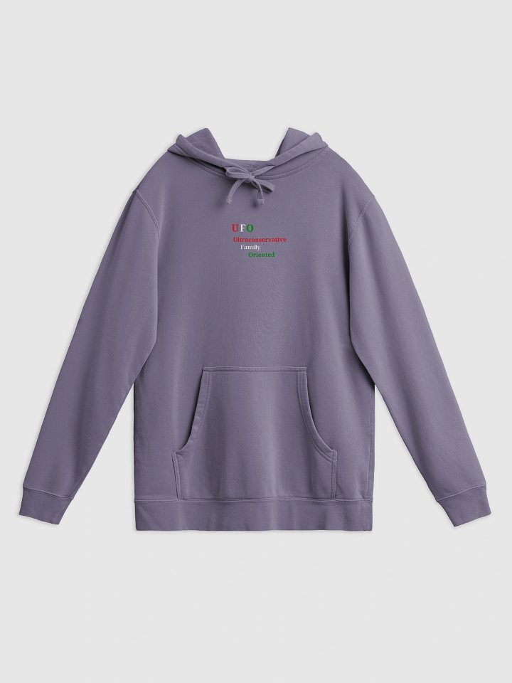 UFO Ultraconservative Family Oriented Hoodie product image (1)