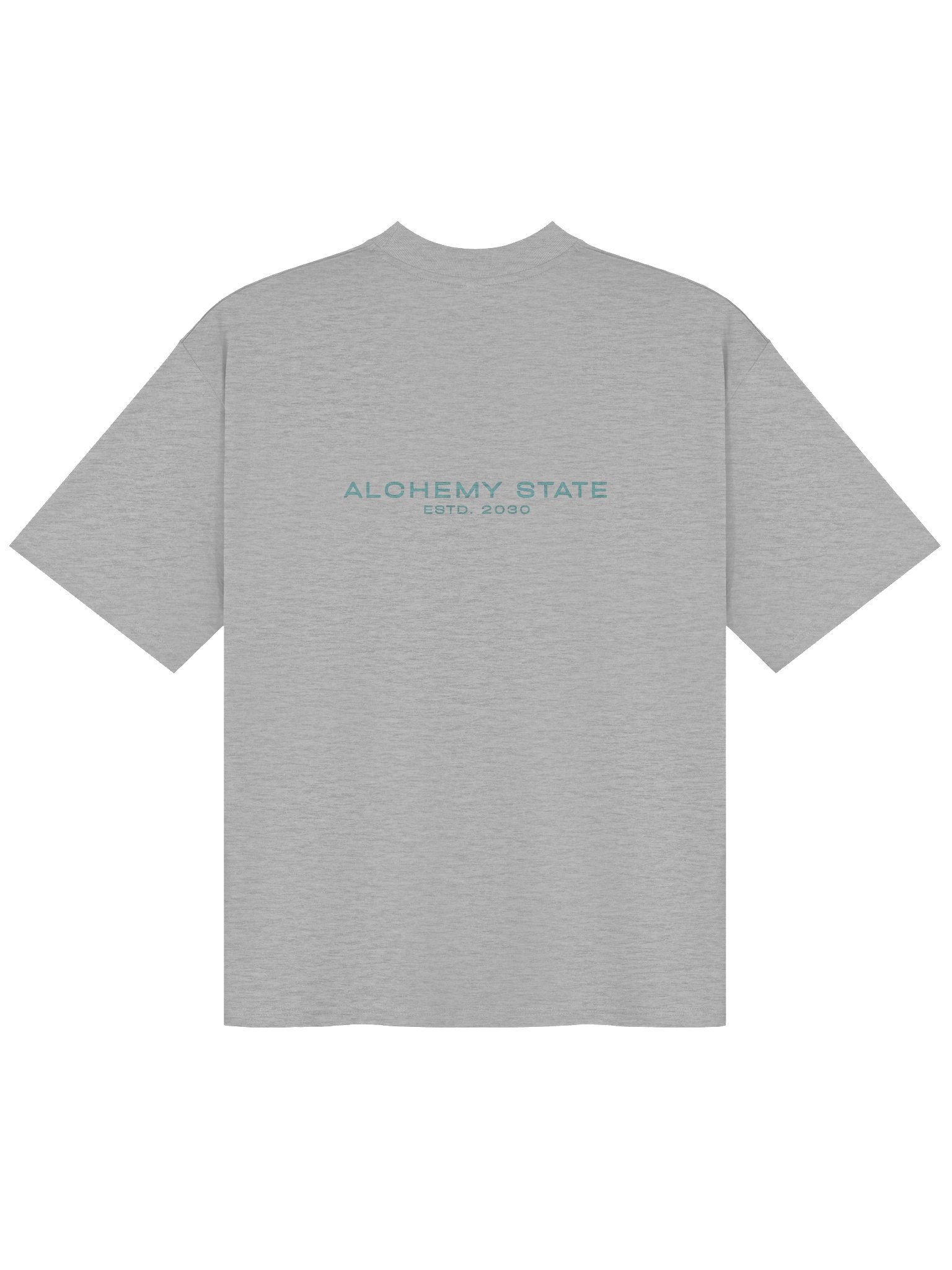 Chakras — the full spectrum of you | Oversized Organic Tee product image (26)