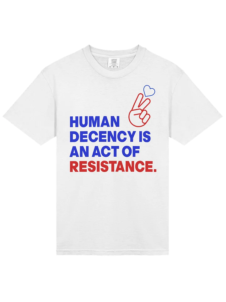 HUMAN DECENCY IS AN ACT OF RESISTANCE product image (2)
