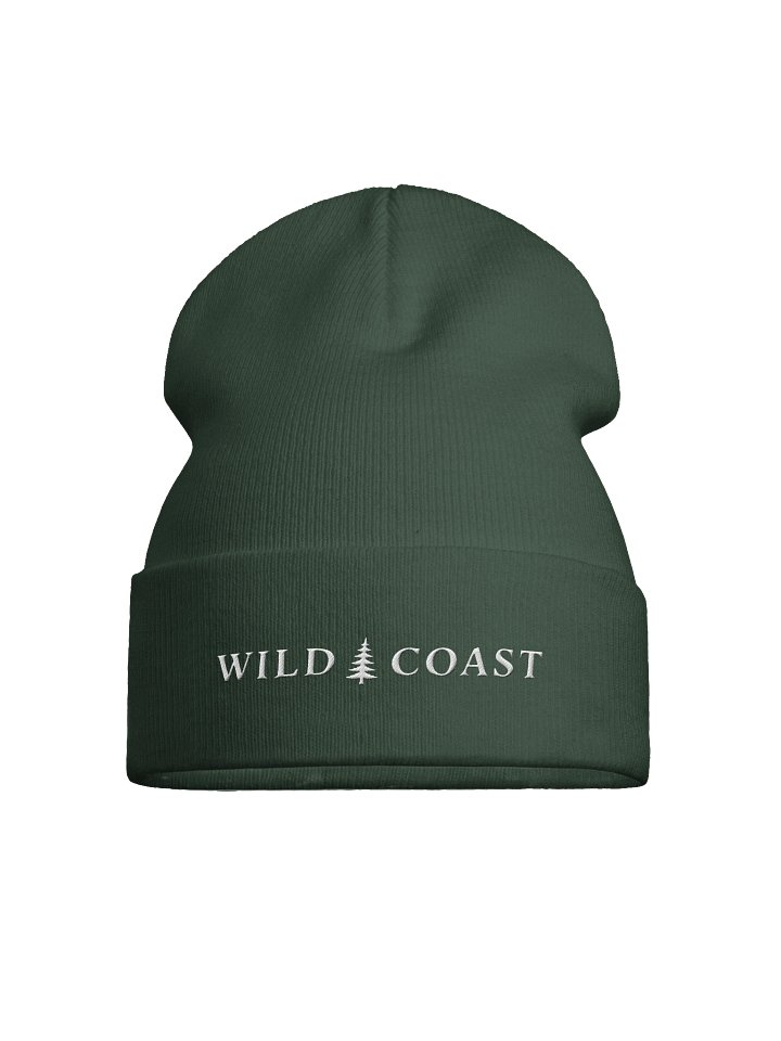Coast Beanie product image (1)