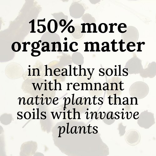 With over two years of soil sampling across the Willamette Valley, we've found that remnant soils with native plants have ove...